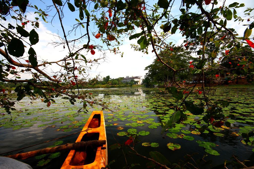 Sorowwa Resort & Spa Habarana Bagian luar foto